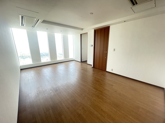 千代田区永田町２丁目の賃貸マンションのその他|リビング