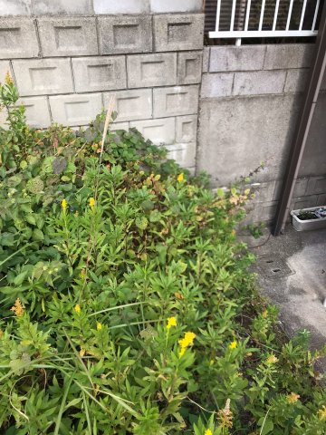 和歌山市加太・土地・56756の周辺