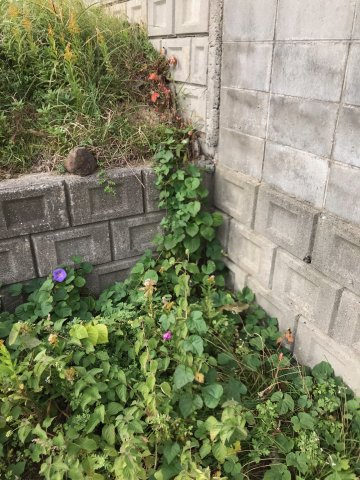 和歌山市加太・土地・56756の周辺