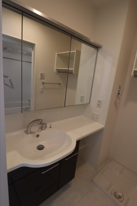 ロイヤルクレスト六号館の洗面所