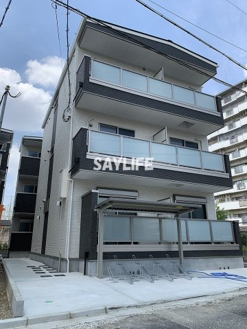 F asecia Citrine（エフ　アセシア　シトリン）の外観