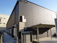 レオネクスト美樹の画像