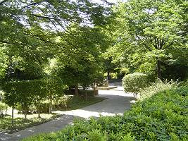 【周辺】 | 敷地内公園