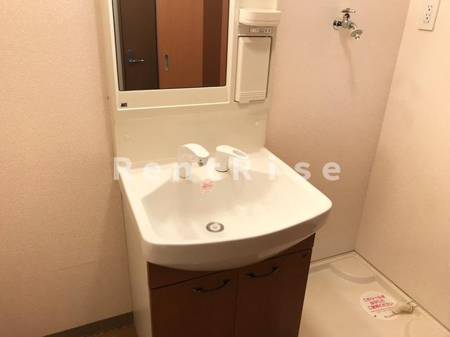 ロイヤル木の家 Ⅱ番館の洗面所|洗髪洗面化粧台