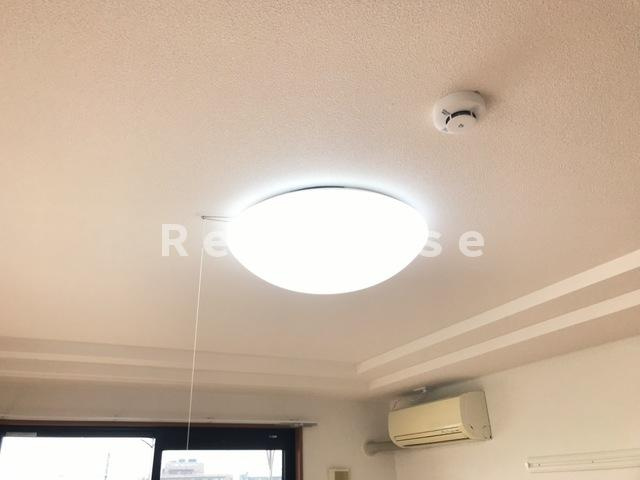 ロイヤル木の家 Ⅱ番館の設備|照明器具