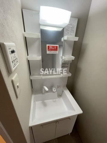 リーセスハイムの洗面所
