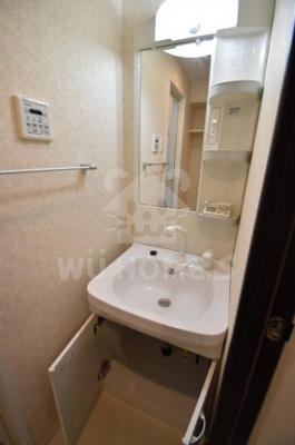 【その他】 | Luxe海老江Ⅱ | 独立洗面台、小物を置くことができて便利です