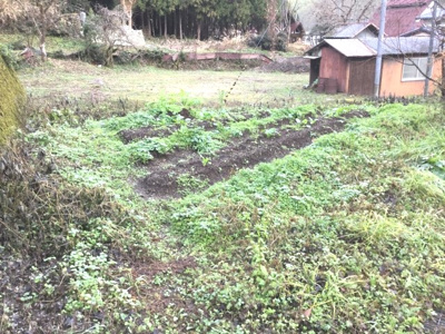 【庭】 | 稲土中古住宅