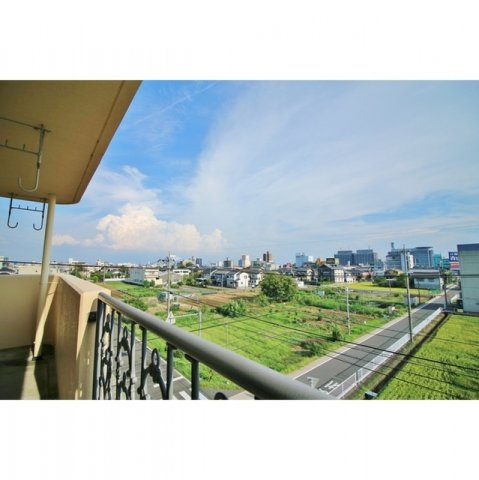 Ｌｉｔｔｌｅ　Ｗｉｎｇのその他