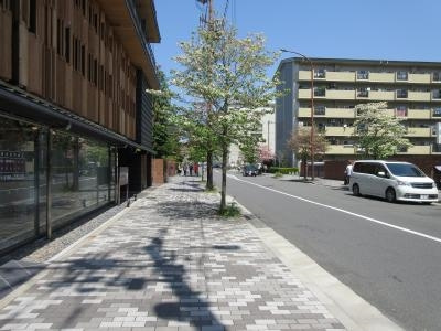 シャルール・デュ・ボワ二条の周辺|前面道路