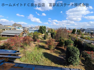 【展望】 | 清水の森
