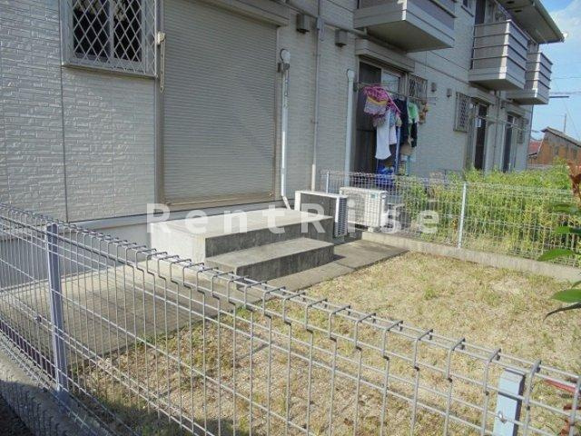 カモミール