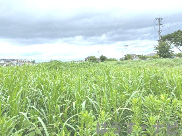 志免町吉原土地の外観|資材置き場や駐車場向きです！