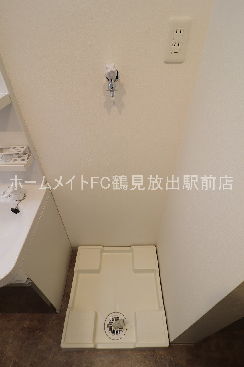 F asecia Sphaleの設備