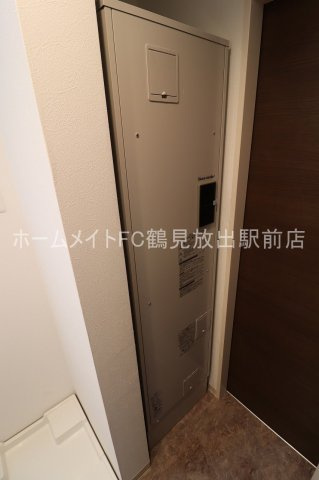 F asecia Sphaleのその他