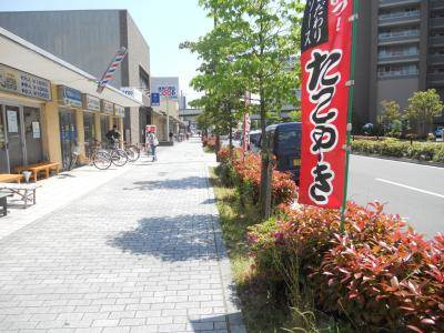 ハルチェスタ二条の周辺|前面道路