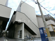 Impressive Sumaの画像
