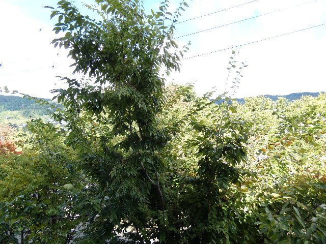 【その他】 | 貸事務所（３階）