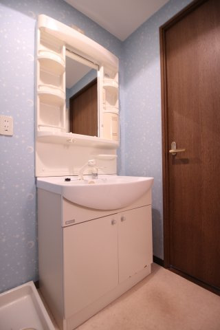 プラザハイツ二ツ屋C棟の洗面所