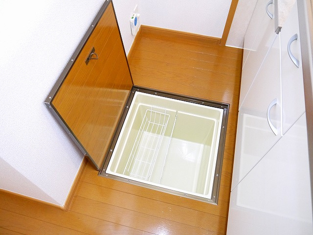 メゾン・ド・エトワールの収納|こまごまとしたものを収納できそうですね