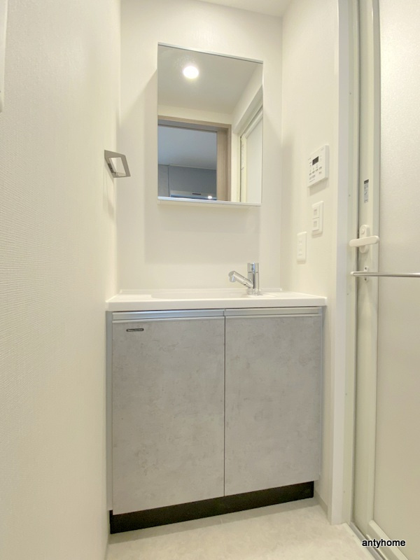 リビオメゾン西天満　仲介手数料無料の洗面所