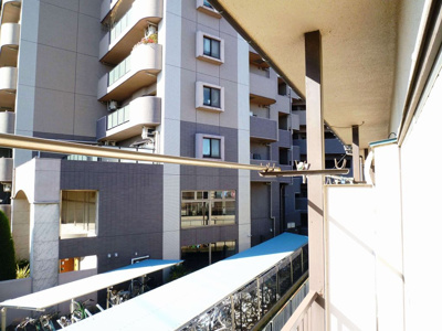 【バルコニー】 | 栄ハイツ