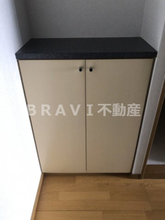 エイペックス松屋町ヴァンデュール　BRAVI不動産の玄関|【エイペックス松屋町ヴァンデュール】明るい玄関です