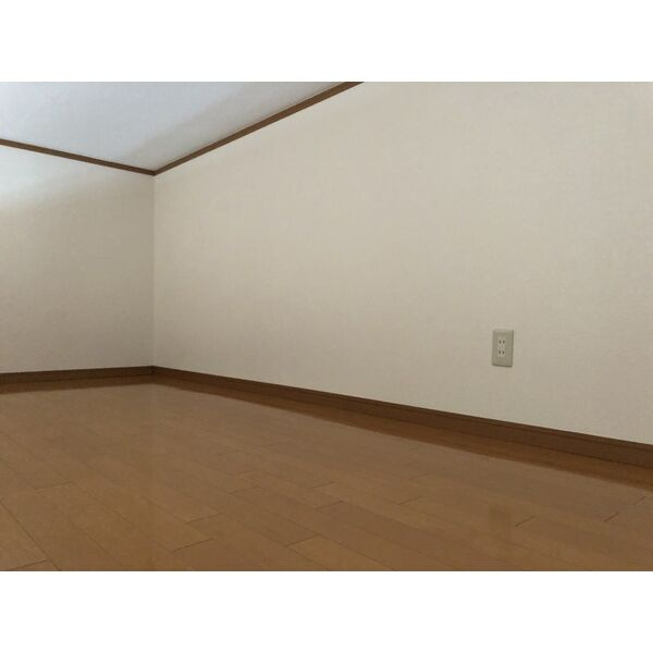 リジエールDのその他