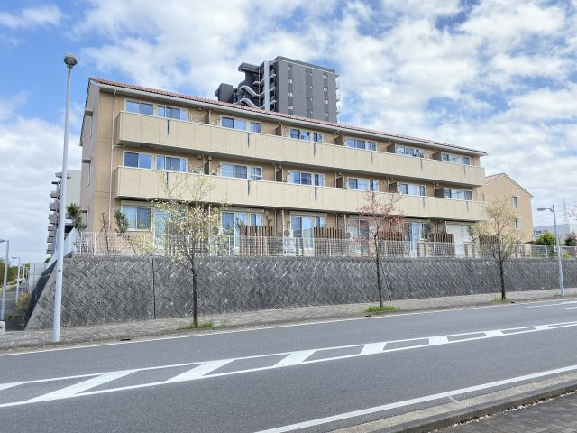 カーザ ヴェルデ Cの展望