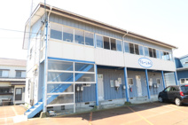 ブルーシェルの画像