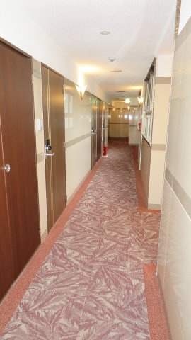 LuxeNAMBAのその他共用部分