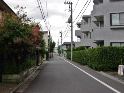 【周辺】 | フラット浜田山 | 前面道路