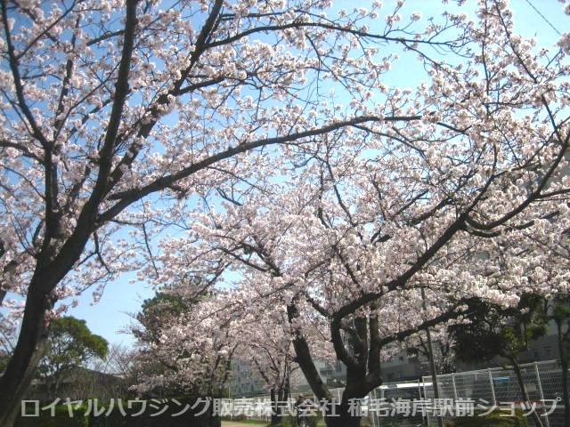 四季を楽しめる敷地です！