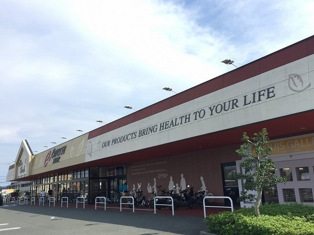 ウエルサイド　Ｂの周辺|遠鉄ストア大平台店まで1000m