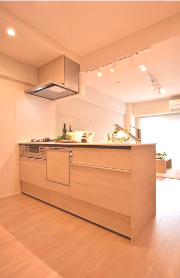 仲介手数料213万円が無料　ファミール亀戸　9階　リノベーションの外観