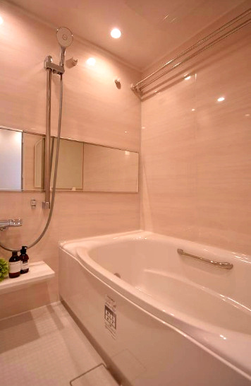 仲介手数料213万円が無料　ファミール亀戸　9階　リノベーションのエントランス|ファミール亀戸