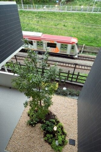 PRIMROSEの展望