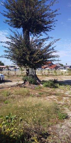 ５９８０５　羽島市小熊町西小熊土地の外観