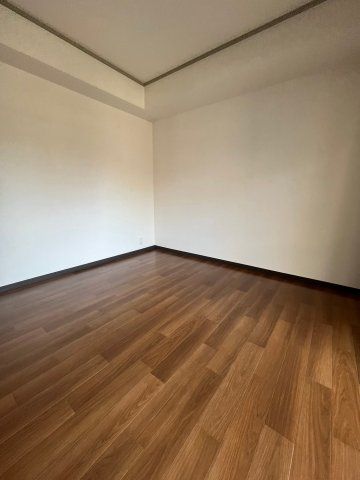 フィオーレ同心のその他