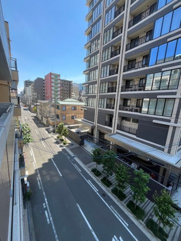 フィオーレ同心のその他