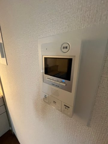 フィオーレ同心のその他