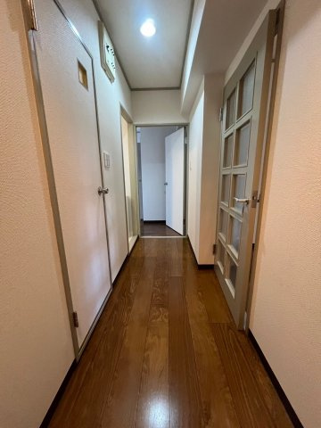 フィオーレ同心のその他