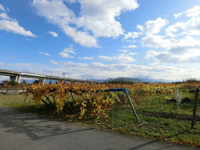 ガレージ・付属建物付き平屋中古住宅の展望