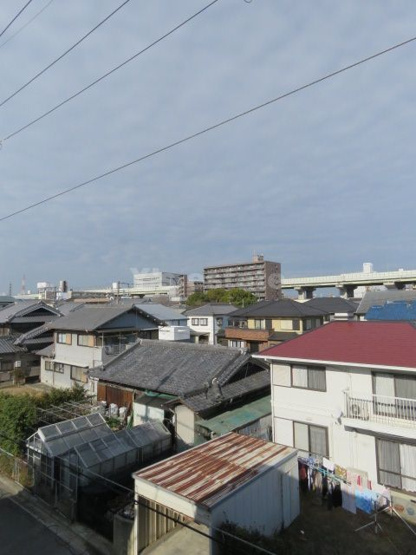 【展望】 | Abelia