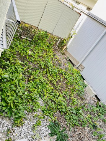 メゾンパ－クの庭