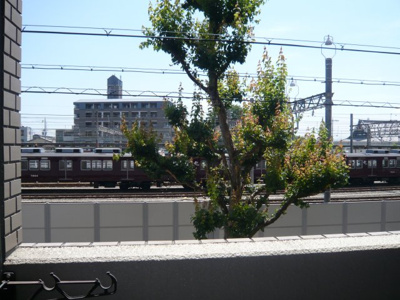 【展望】 | Ｎシャンブル