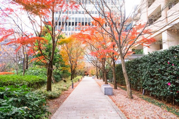 【周辺】 | 【周辺】マンション周辺です。こだわりの植栽からは四季を感じて頂けます。