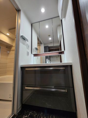 アルカディア八木の独立洗面台|鏡の裏に収納スペースありの洗面所　洗面台の下に引き出し