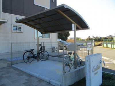  | カンチーナ