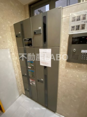 ラムール波除のその他